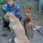 A little boy and his pets for their surgery