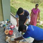 Shelter staff, Sanjeev and Naren dressing the dog before getting it spayed